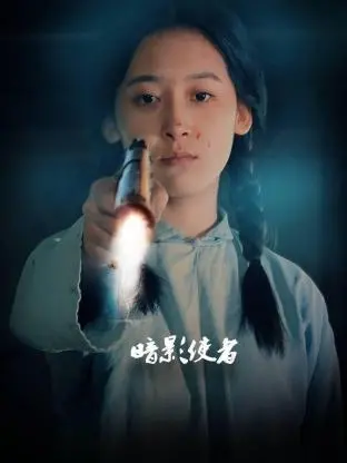 《暗影使者》：黑暗英雄的崛起与救赎，正义与邪恶的终极较量！